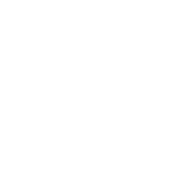 intl-tel-input logo